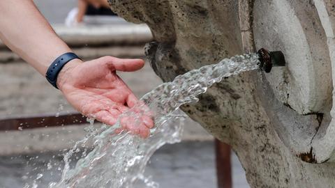 Praunheim Hessen: Mülltonnen wurden bei Hitze sechs Wochen nicht geleert