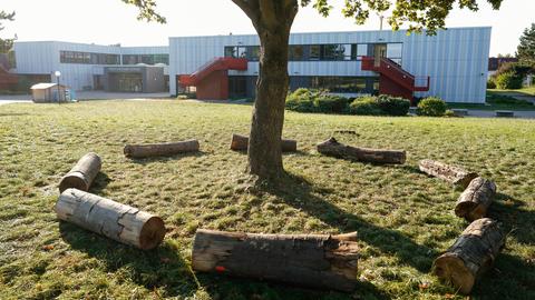 Eine Sitzreihe aus Baumstämmen bildet eine Kreisform um einen Baum herum, Schulgebäude im Hintergrund