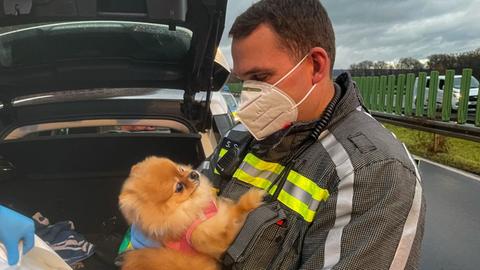 Ein Feuerwehrmann hält einen Hund im Arm.