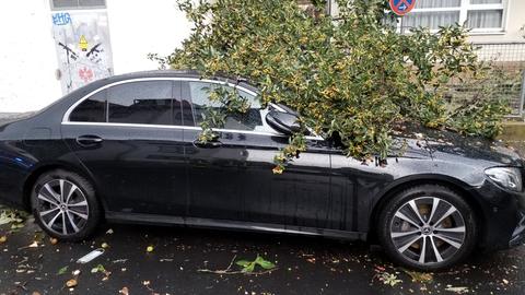 Ein Baum ist in Frankfurt auf ein Auto gestürzt.