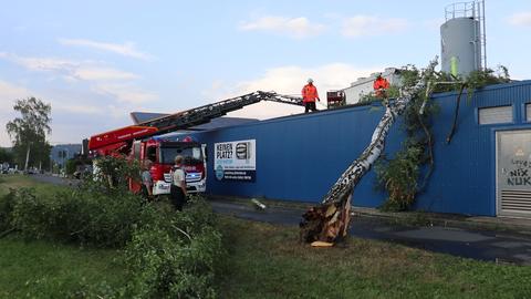 Ein dicker Baum ist während eines Unwetters auf die Fabrikhalle der weltweit bekannten Süßigkeitenfabrik Hitschler in Steinbach (Odenwald) gekracht.