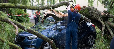 Feuerwehrleute räumen nach einem Unwetter einen umgestürzten Baum von einem Auto weg.