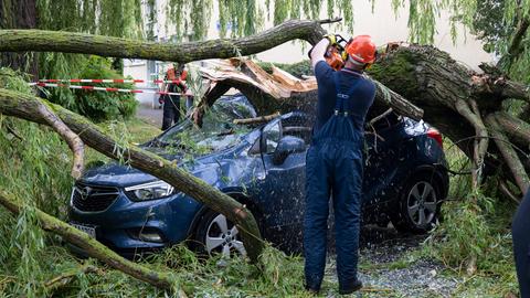 Feuerwehrleute räumen nach einem Unwetter einen umgestürzten Baum von einem Auto weg.