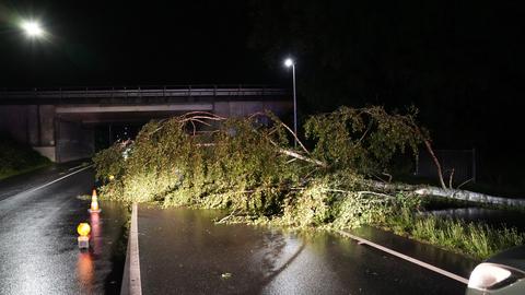 Umgestürzte Bäume behinderten den Verkehr