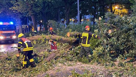 Einsatzkräfte beseitigen Baum auf Fahrbahn