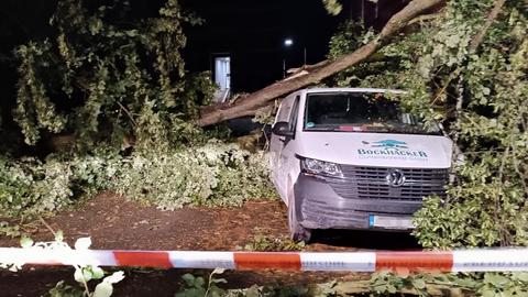 In Hattersheim ist ein Baum auf einen Transporter gestürzt.