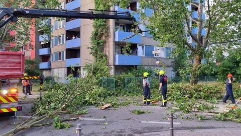 Einsatzkräfte räumen abgebrochene Äste auf