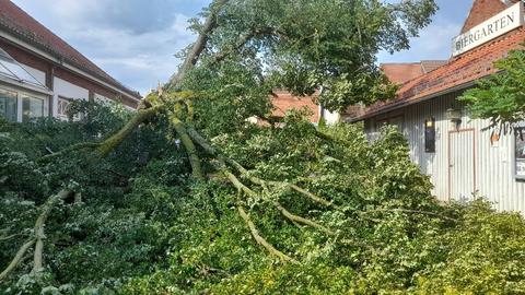 Eine 250 Jahre alte Linde wurde in Bebra zerstört.