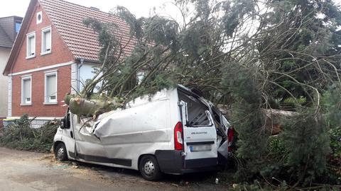 Ein Baum fiel während des Unwetters am Sonntag auf einen Transporter in Rodgau-Jügesheim (Kreis Offenbach)
