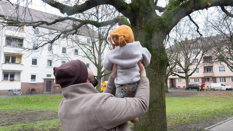 Ein Mann hält ein Kind auf dem Arm und zeigt ihm einen Baum auf einer Wiese.