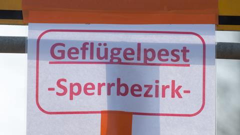 "Geflügelpest - Sperrbezirk" steht auf einem Schild.