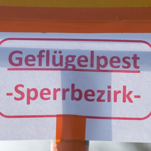 "Geflügelpest - Sperrbezirk" steht auf einem Schild.
