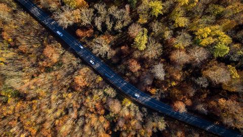 Luftbilder von herbstlichen Wald in Oberhessen
