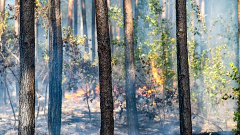 Waldbrand