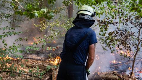 Feuerwehrmann löscht Waldbrand