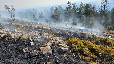 An einem Berghang steigt nach einem Waldbrand Rauch auf.