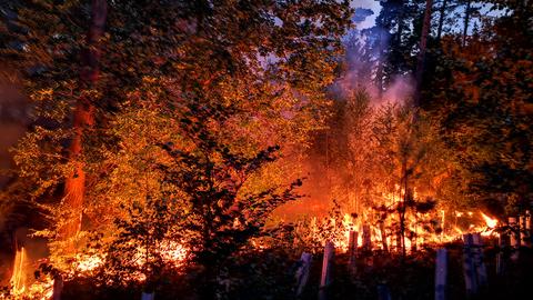 Ein Wald bei Cölbe steht lichterloh in Flammen