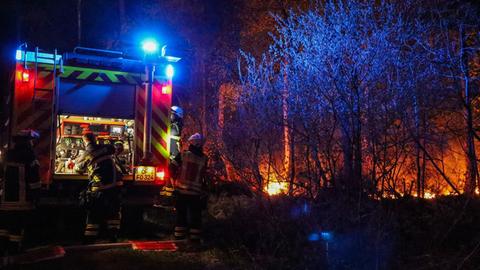 Feuerwehreinsatz bei Waldbrand in Hainburg