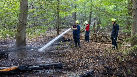 Drei Feuerwehrleute löschen einen Waldbrand.