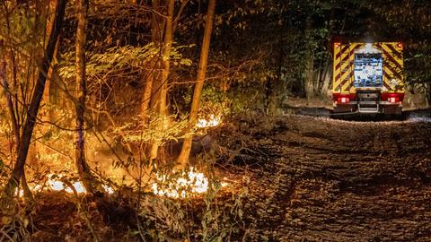 Die Feuerwehr rückte am Abend zu einem Waldbrand bei Hanau aus. 