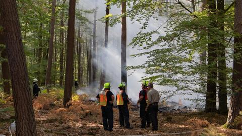 Feuerwehrleute stehen in einem Wald, in dem Rauch aufsteigt.
