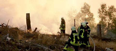 Feuerwehrleute stehen in einem brennnenden Waldstück und löschen.