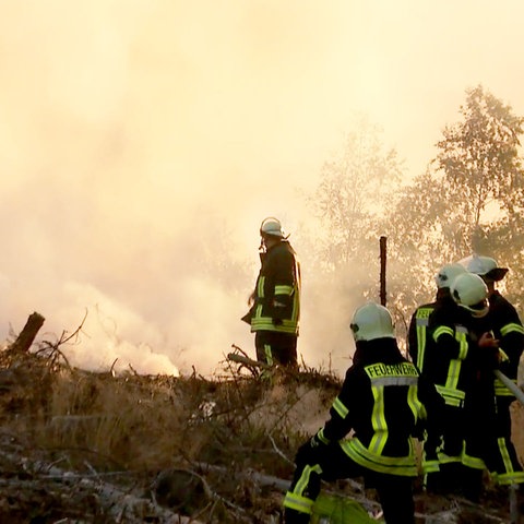 Feuerwehrleute stehen in einem brennnenden Waldstück und löschen.