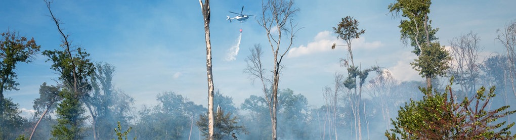 Ein Hubschrauber hilft beim Löschen des Waldbrands bei Raunheim