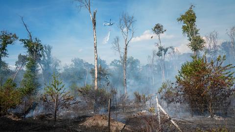 Ein Hubschrauber hilft beim Löschen des Waldbrands bei Raunheim