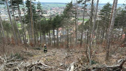 Feuerwehrmann steht in Waldgebiet in Wolfhagen