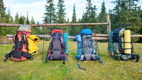 4 Rucksäcke nebeneinander vor Wald- Mittelgebirgslandschaft