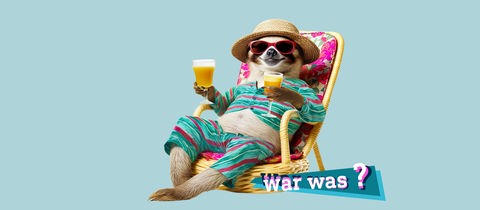 Ein Waschbär in bunter Kleidung, mit Käppi, Sonnenbrille und mit zwei Drinks in den Händen sitzt maskottchenhaft in einem Liegestuhl. Auf dem Bild eine kleine, farbige Grafik mit dem Schriftzug "war was?".