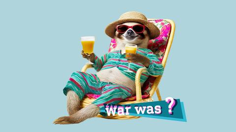 Ein Waschbär in bunter Kleidung, mit Käppi, Sonnenbrille und mit zwei Drinks in den Händen sitzt maskottchenhaft in einem Liegestuhl. Auf dem Bild eine kleine, farbige Grafik mit dem Schriftzug "war was?".
