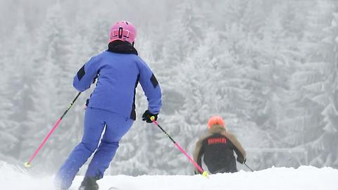 In der Mitte des Bildes zwei Skifahrer von hinten, wie sie einen schneebedeckten Hang herunterfahren. Im Hintergrund unscharf Wald mit Schnee in den Bäumen.