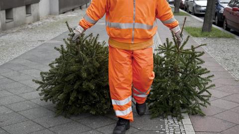 Ein Mitarbeiter einer Entsorungsfirma trägt einen Weihnachtsbaum davon.