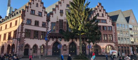 Weihnachtsbaum "Manni" auf dem Frankfurter Römerberg