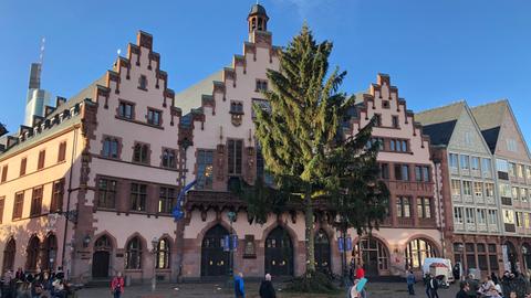 Weihnachtsbaum "Manni" auf dem Frankfurter Römerberg