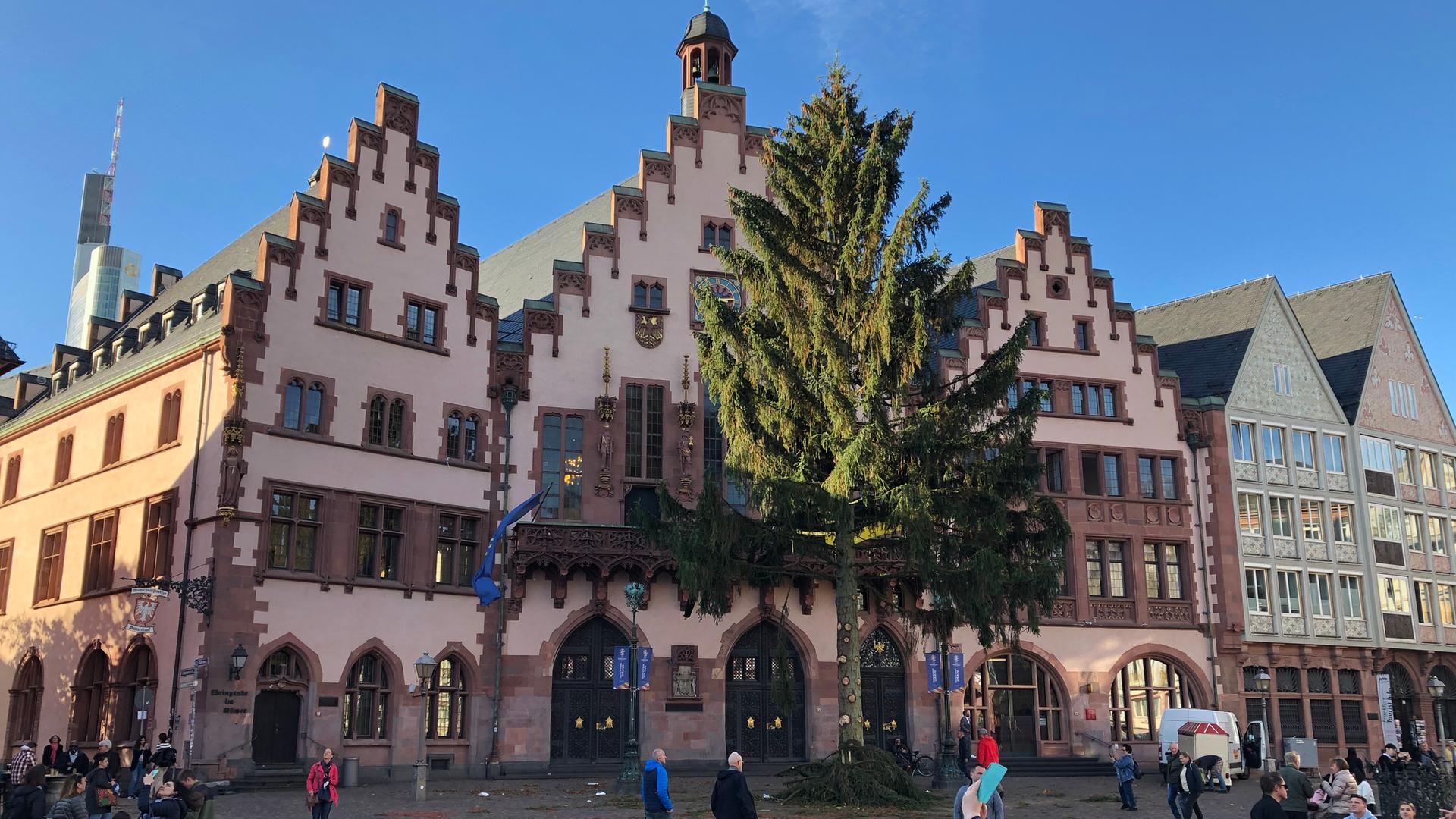 Frankfurter Weihnachtsbaum 2022 An "Manni" gibt's nichts zu meckern