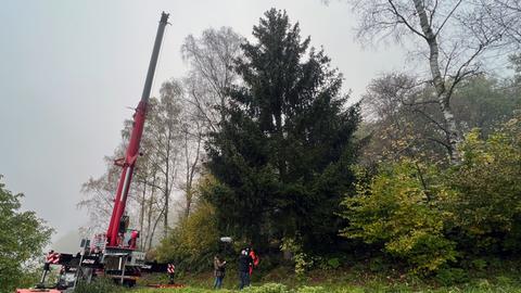 Eine Fichte, daneben steht ein Kran