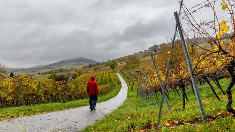 Dunkle Wolken ziehen über die Weinberge bei Heppenheim hinweg.