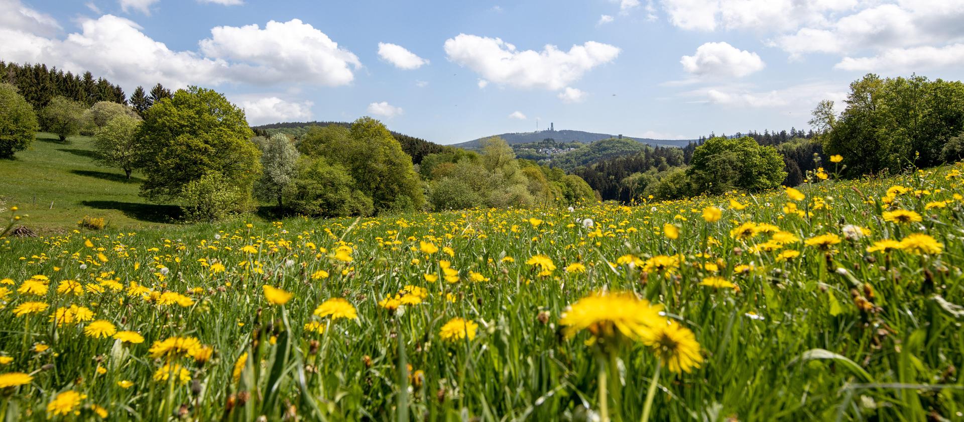 https://www.hessenschau.de/panorama/wetter-fruehling-schmitten-100~_t-1590763027522_v-16to7__retina.jpg