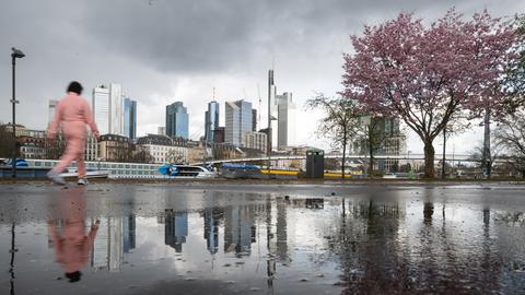 Regennasses Mainufer in Frankfurt