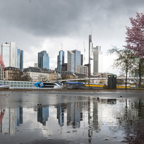 Regennasses Mainufer in Frankfurt