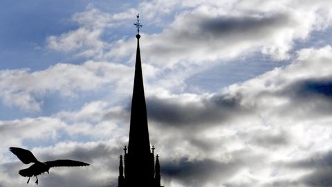 Eine Möwe an einem Kirchturm in Frankfurt