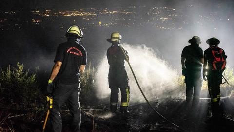Vier Feuerwehrleute stehen auf einer Anhöhe und richten einen Löschschlauch auf ein Feuer.