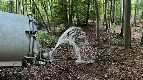 Die Jägervereinigung Usingen bewässert im Revier Wernborn eine Kuhle im Wald, um eine Suhle für Rotwild und Wildschweine zu schaffen. 