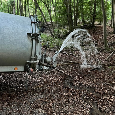Die Jägervereinigung Usingen bewässert im Revier Wernborn eine Kuhle im Wald, um eine Suhle für Rotwild und Wildschweine zu schaffen. 
