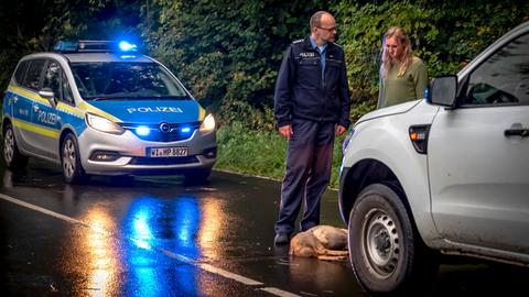 Polizistischer MIT Polizeiwagen, Autofahrerin mit Einem Einem Vorer Auto gelaufen und Getölttenreh auf Auf aufinerlandstraße