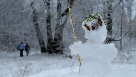 Ein Mini-Schneemann im Habichtswald bei Kassel, im Hintergrund Spaziergänger