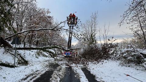Umgestürzter Baum auf Straße bei Kronberg (Hcchtaunus)